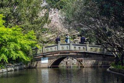 楼盘百科→首页网站→楼盘测评→中心电线小时热线电话万科中兴傲舍售楼处电话→万科中兴傲舍售楼中心电线年(图24)